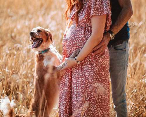 丽水2026借卵费用明细及影响因素解析，正规助孕服务指南